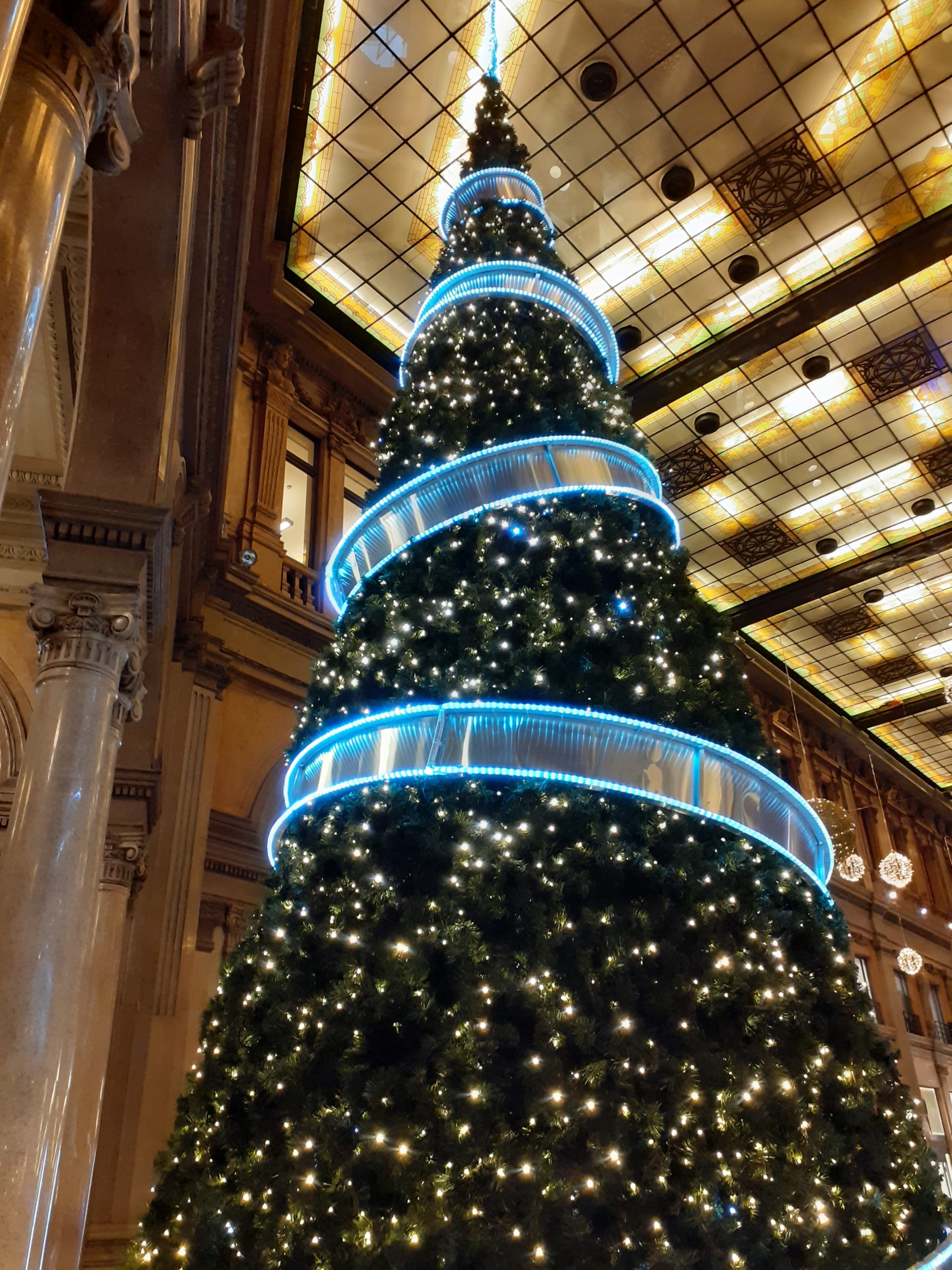 Le luci del Natale riscaldano il cuore